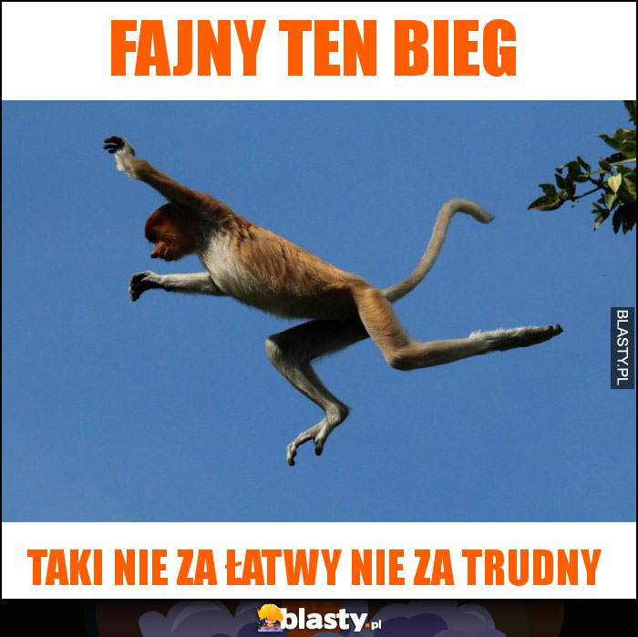 Fajny ten bieg Fajny ten bieg