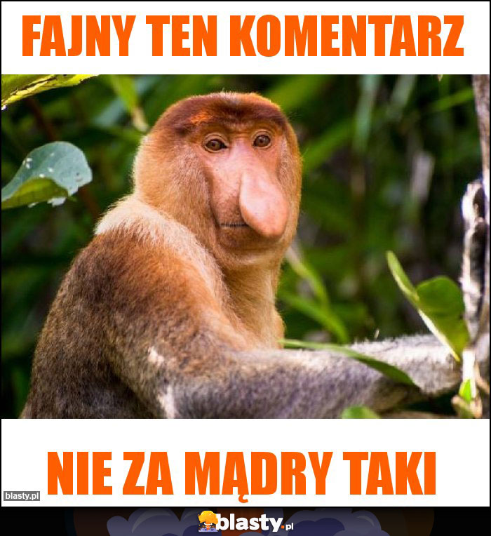Fajny ten komentarz Fajny ten komentarz