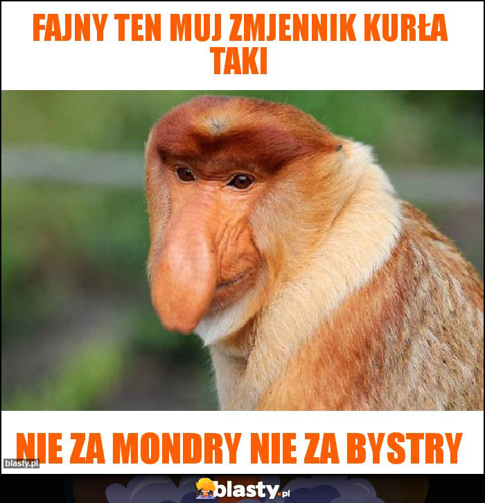 fajny ten muj zmjennik kurła taki fajny ten muj zmjennik kurła taki