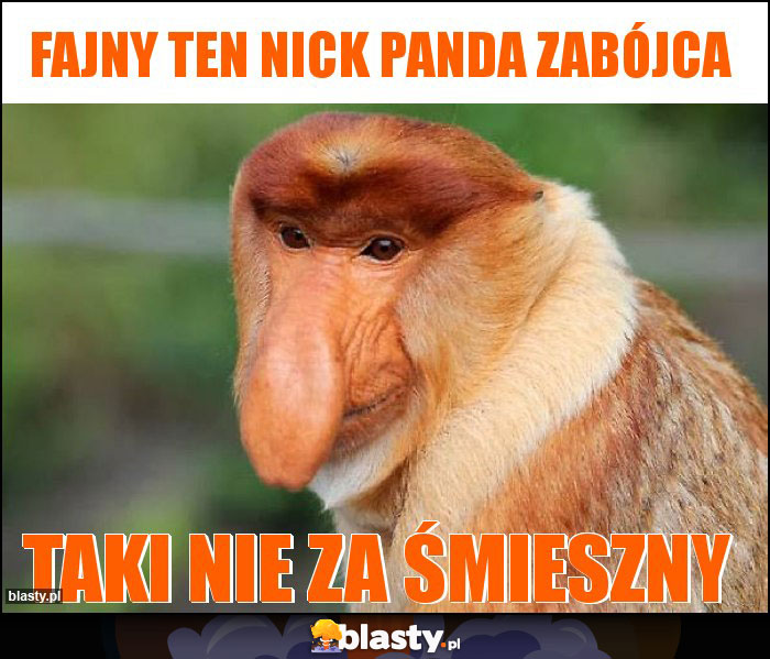 Fajny ten nick Panda Zabójca Fajny ten nick Panda Zabójca