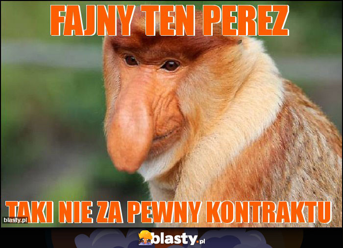 Fajny ten PEREZ