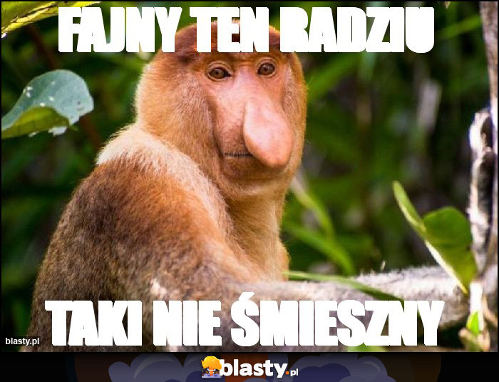 Fajny ten radziu Fajny ten radziu