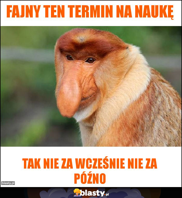 FAJNY TEN TERMIN NA NAUKĘ FAJNY TEN TERMIN NA NAUKĘ