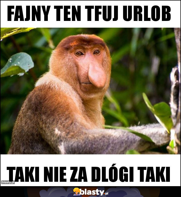 Fajny ten tfuj urlob Fajny ten tfuj urlob