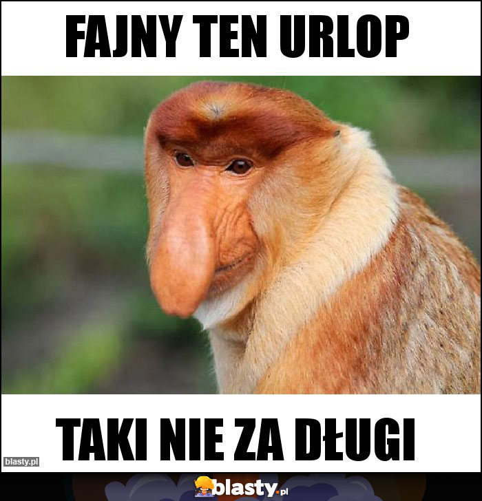 Fajny ten urlop Fajny ten urlop