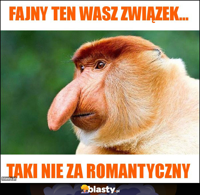 Fajny ten wasz związek... Fajny ten wasz związek...