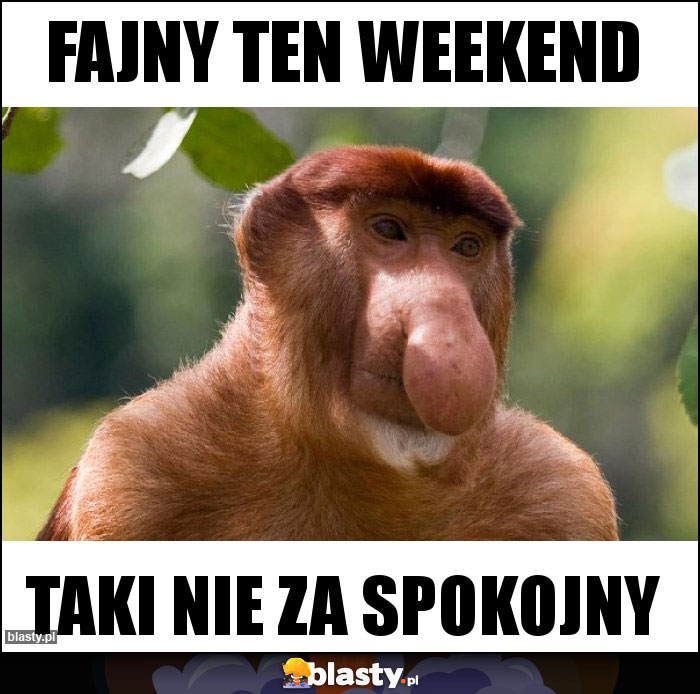 Fajny ten weekend Fajny ten weekend