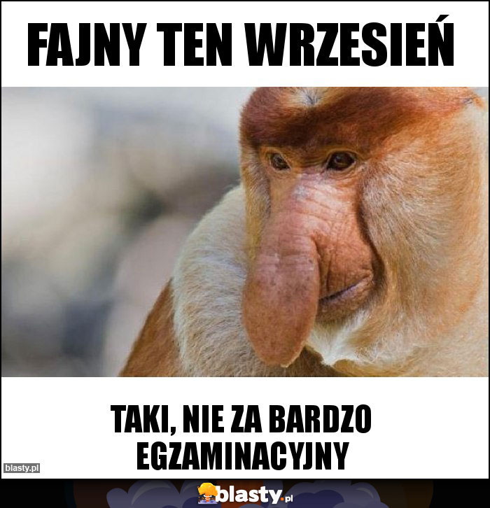 fajny ten wrzesień fajny ten wrzesień