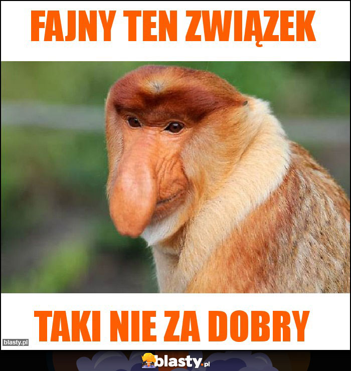 Fajny ten związek