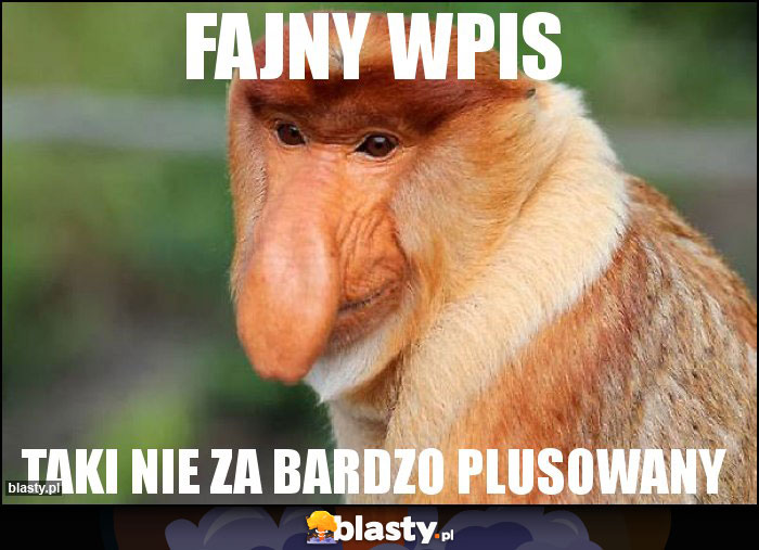 Fajny wpis Fajny wpis