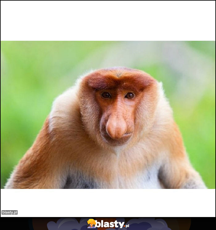 Fajny z Ciebie kierowca rajdowy Jureczku Fajny z Ciebie kierowca rajdowy Jureczku