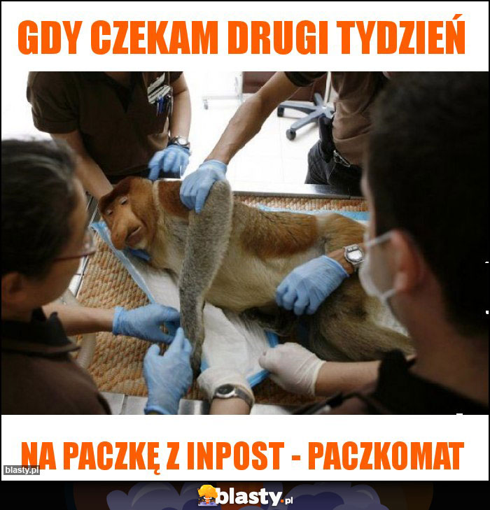 Gdy czekam drugi tydzień Gdy czekam drugi tydzień