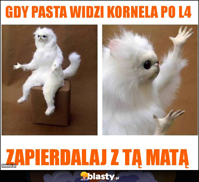Gdy Pasta widzi Kornela po L4 Gdy Pasta widzi Kornela po L4