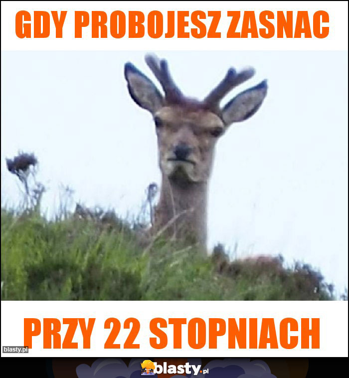 Gdy probojesz zasnac