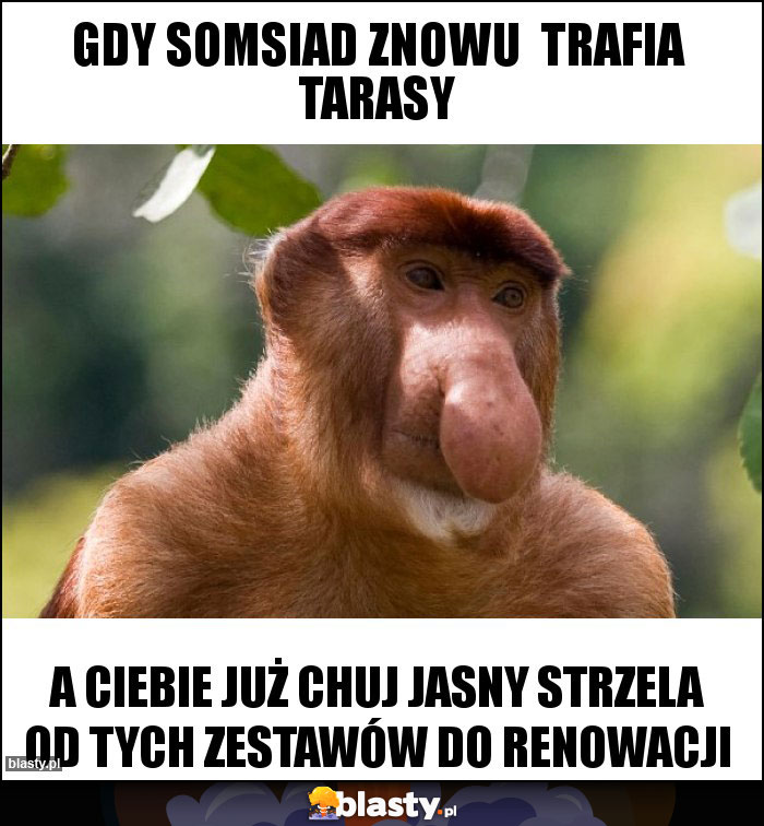 GDY SOMSIAD ZNOWU TRAFIA TARASY GDY SOMSIAD ZNOWU TRAFIA TARASY