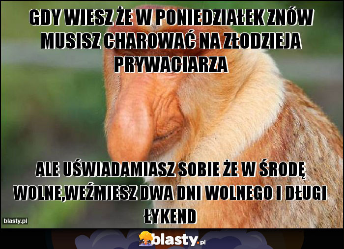 gdy wiesz że w poniedziałek znów musisz charować na złodzieja prywaciarza gdy wiesz że w poniedziałek znów musisz charować na złodzieja prywaciarza