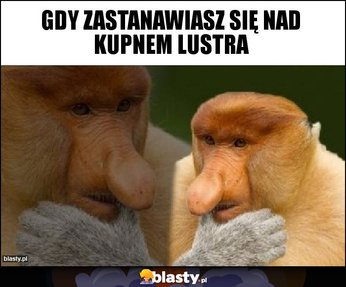 Gdy zastanawiasz się nad kupnem lustra Gdy zastanawiasz się nad kupnem lustra