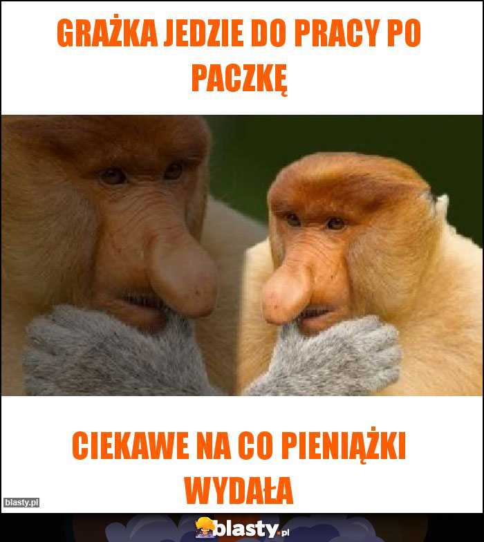 Grażka jedzie do pracy po paczkę Grażka jedzie do pracy po paczkę