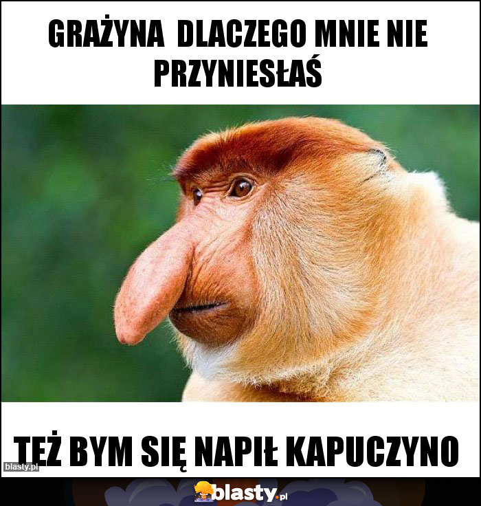 Grażyna dlaczego mnie nie przyniesłaś Grażyna dlaczego mnie nie przyniesłaś