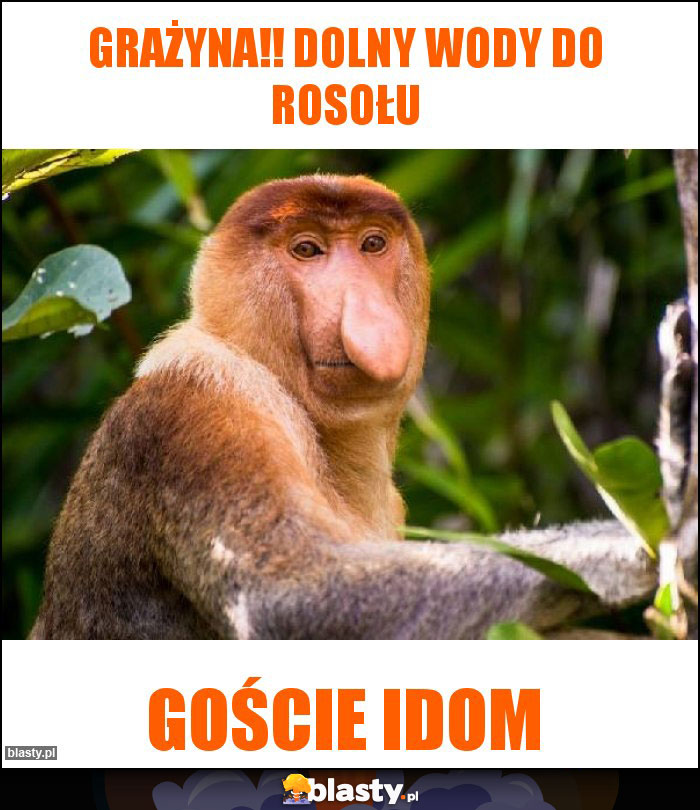Grażyna!! Dolny wody do rosołu Grażyna!! Dolny wody do rosołu