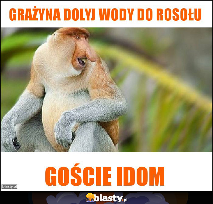 Grażyna dolyj wody do rosołu Grażyna dolyj wody do rosołu