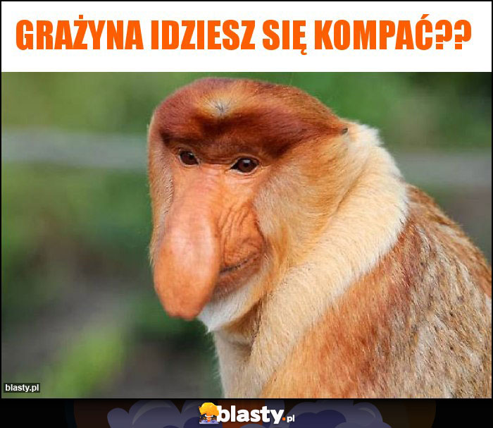 Grażyna idziesz się kompać??