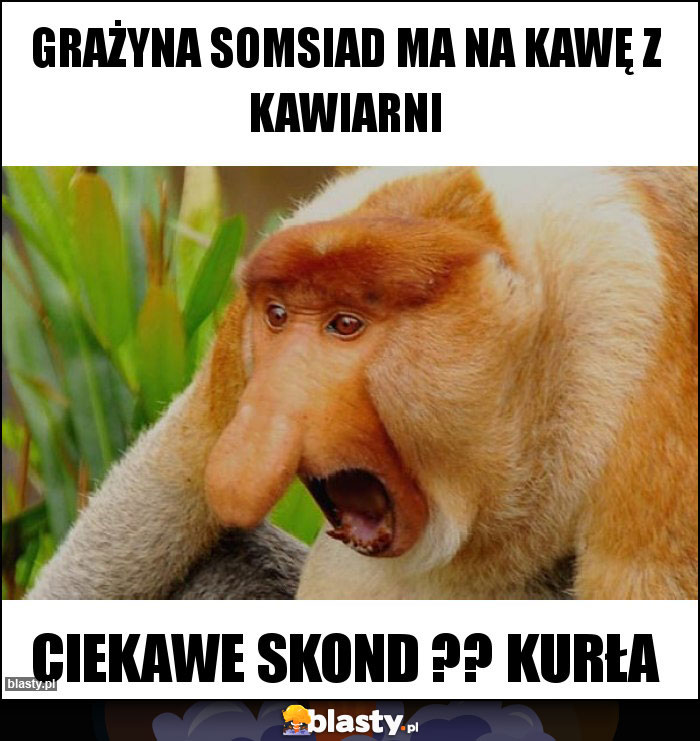 Grażyna somsiad ma na kawę z kawiarni Grażyna somsiad ma na kawę z kawiarni