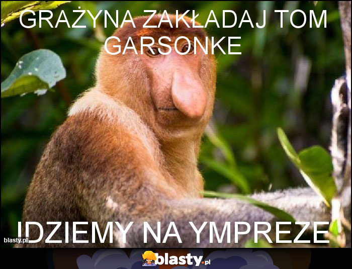 Grażyna zakładaj tom garsonke Grażyna zakładaj tom garsonke