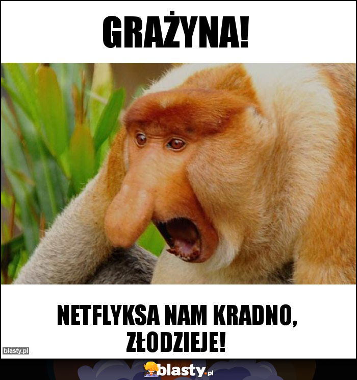 GRAŻYNA!