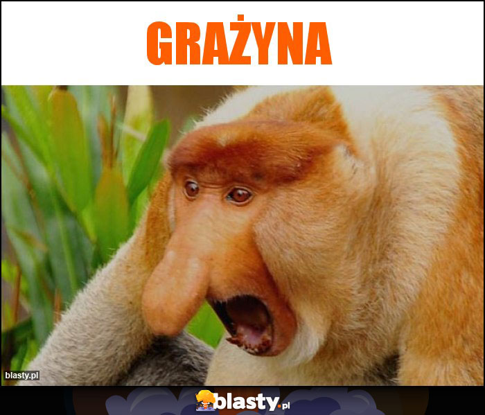 Grażyna