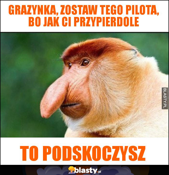 Grazynka, zostaw tego pilota, bo jak ci przypierdole Grazynka, zostaw tego pilota, bo jak ci przypierdole