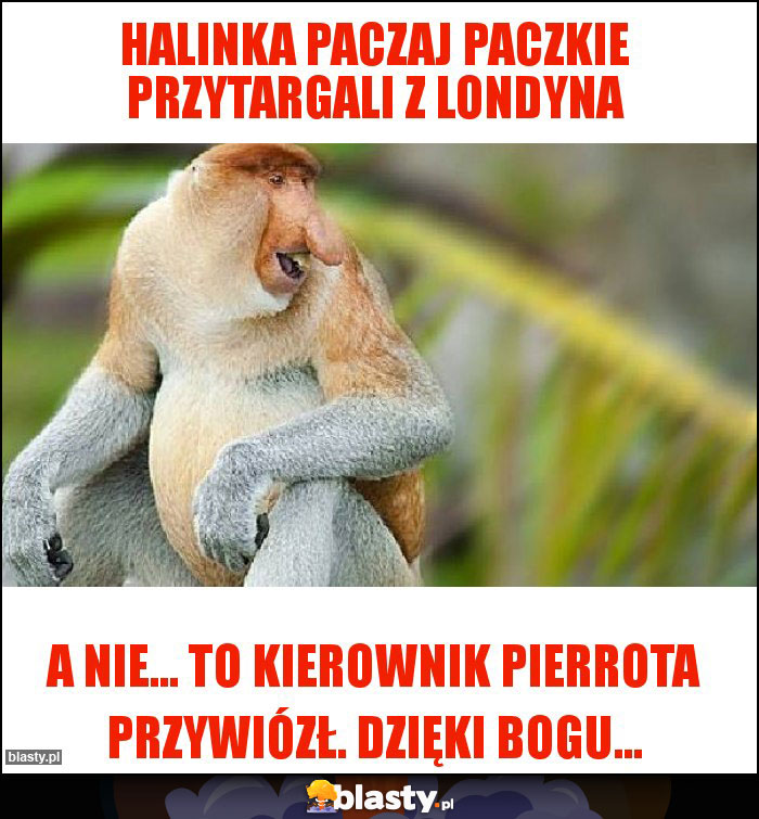 Halinka paczaj PACZKIE PRZYTARGALI Z LONDYNA Halinka paczaj PACZKIE PRZYTARGALI Z LONDYNA