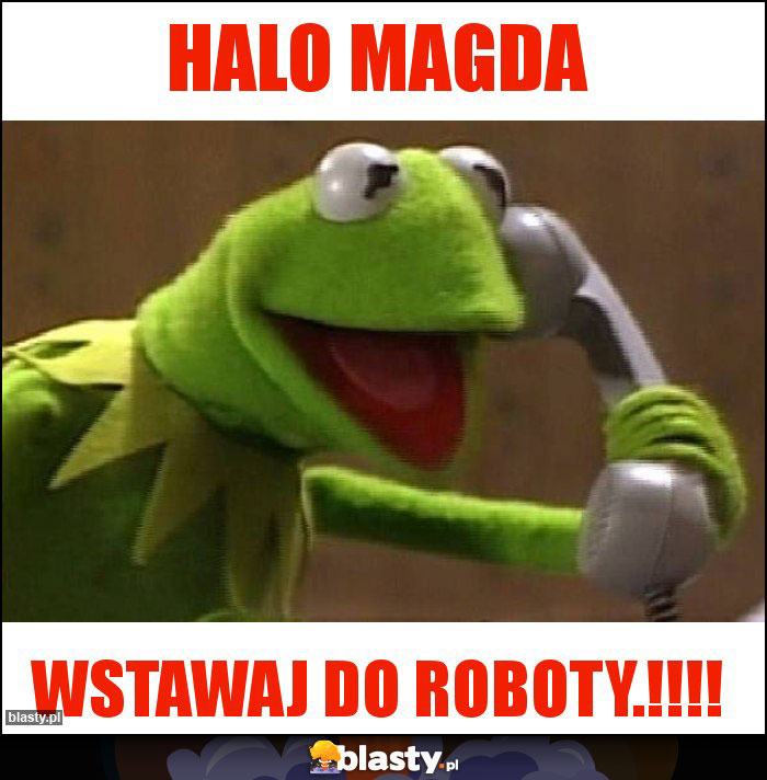 Halo Magda Halo Magda