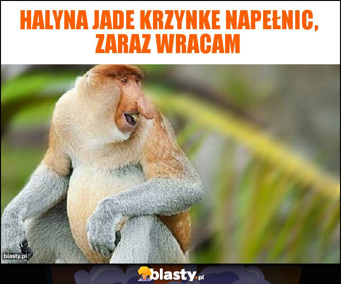 Halyna jade krzynke napełnic, zaraz wracam Halyna jade krzynke napełnic, zaraz wracam