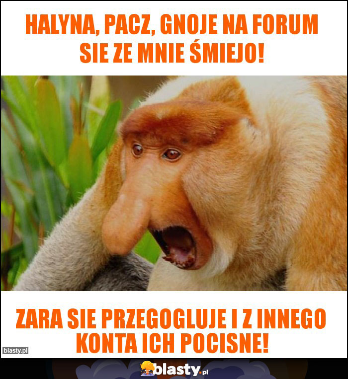 Halyna, pacz, gnoje na forum sie ze mnie śmiejo! Halyna, pacz, gnoje na forum sie ze mnie śmiejo!