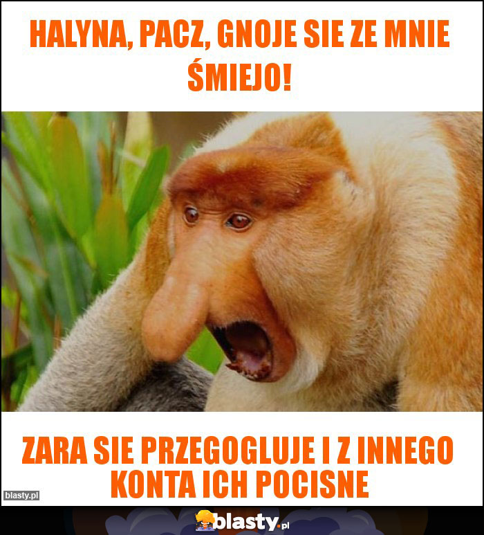 Halyna, pacz, gnoje sie ze mnie śmiejo! Halyna, pacz, gnoje sie ze mnie śmiejo!