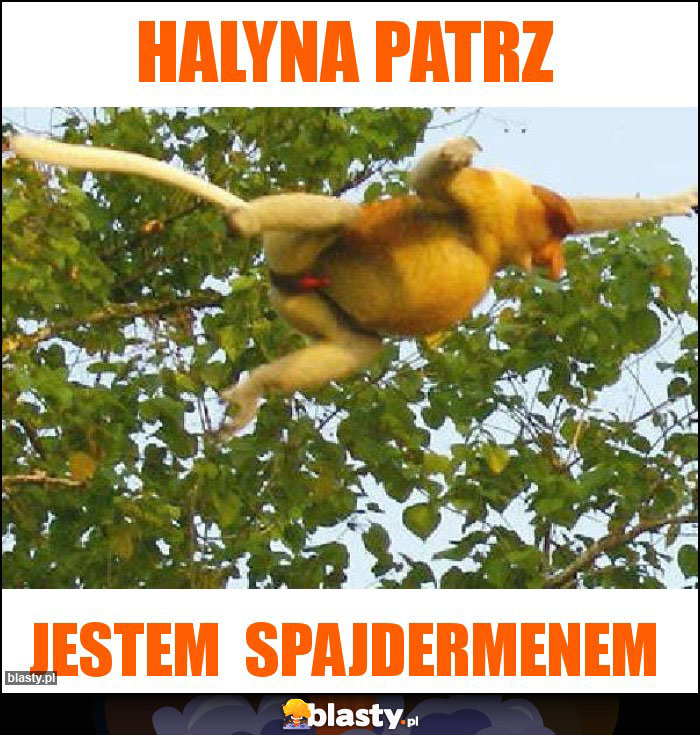Halyna patrz Halyna patrz