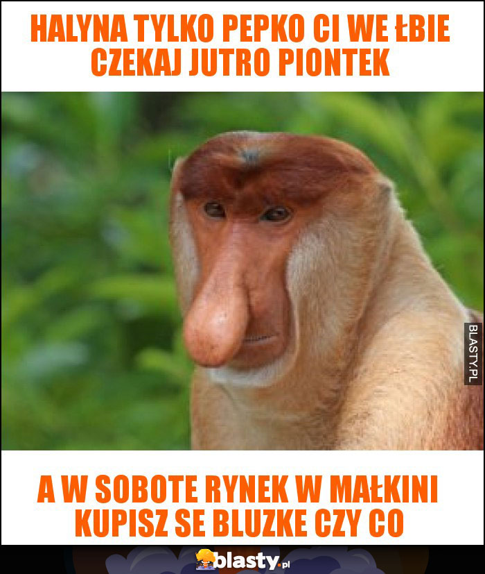 Halyna tylko pepko ci we łbie czekaj jutro piontek Halyna tylko pepko ci we łbie czekaj jutro piontek