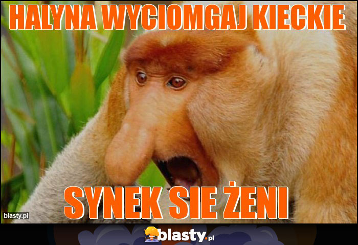 halyna wyciomgaj kieckie halyna wyciomgaj kieckie