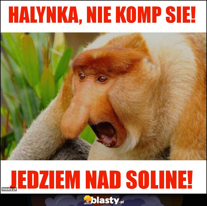HALYNKA, NIE KOMP SIE! HALYNKA, NIE KOMP SIE!