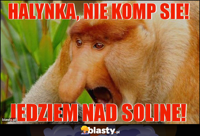 HALYNKA, NIE KOMP SIE! HALYNKA, NIE KOMP SIE!