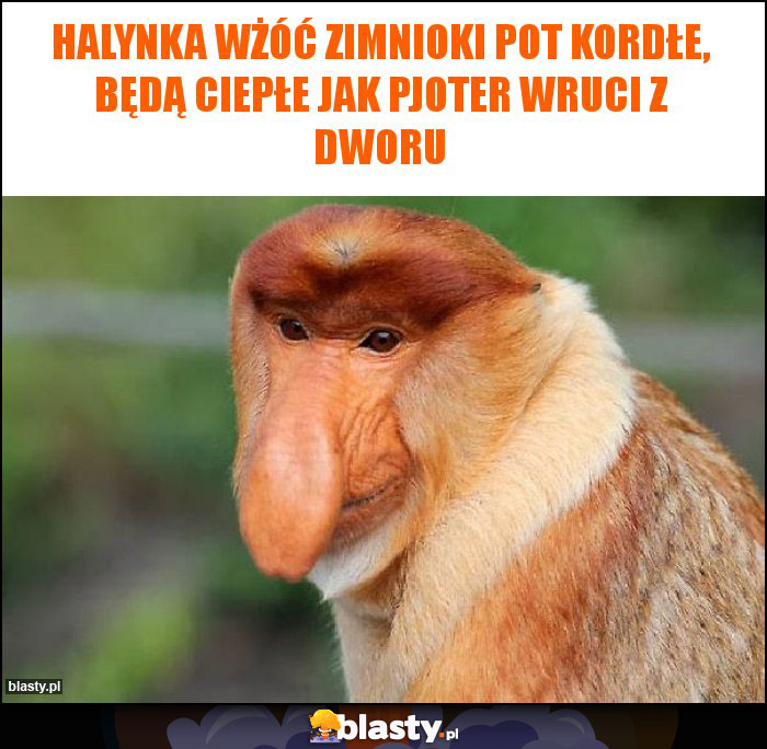 Halynka wżóć zimnioki pot kordłe, będą ciepłe jak Pjoter wruci z dworu Halynka wżóć zimnioki pot kordłe, będą ciepłe jak Pjoter wruci z dworu