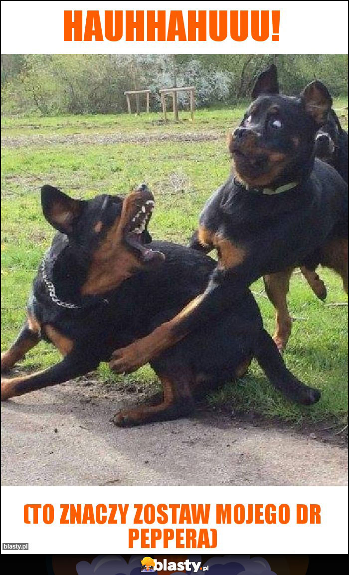 Hauhhahuuu! Hauhhahuuu!