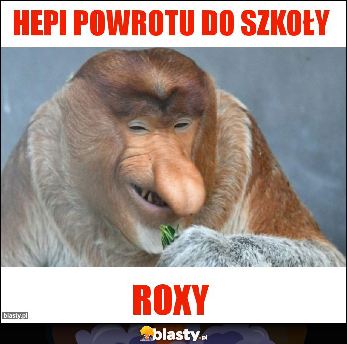 Hepi powrotu do szkoły Hepi powrotu do szkoły