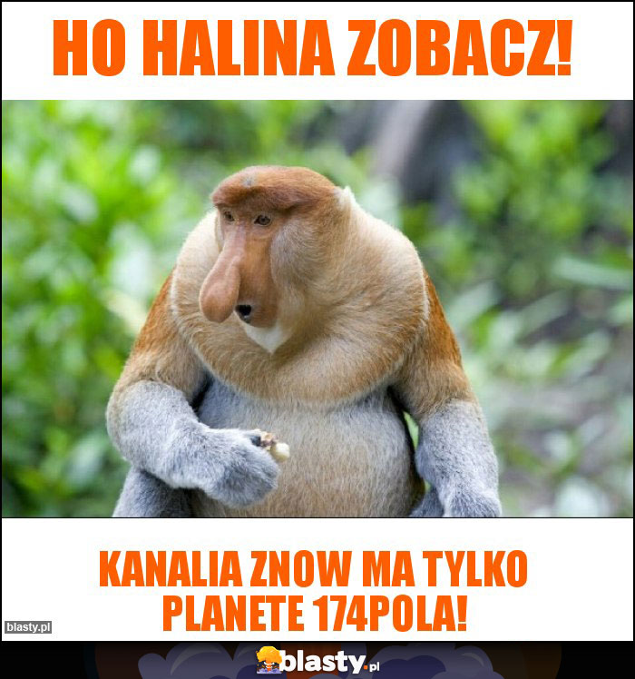 HO HALINA ZOBACZ! HO HALINA ZOBACZ!