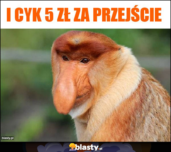 I cyk 5 zł za przejście