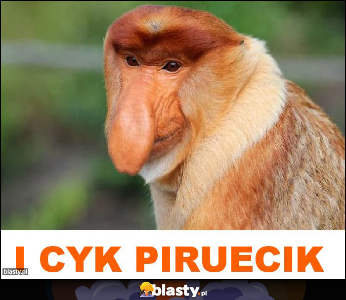 I cyk piruecik I cyk piruecik