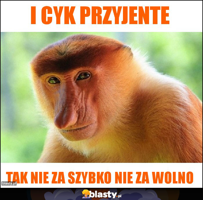 I cyk przyjente I cyk przyjente