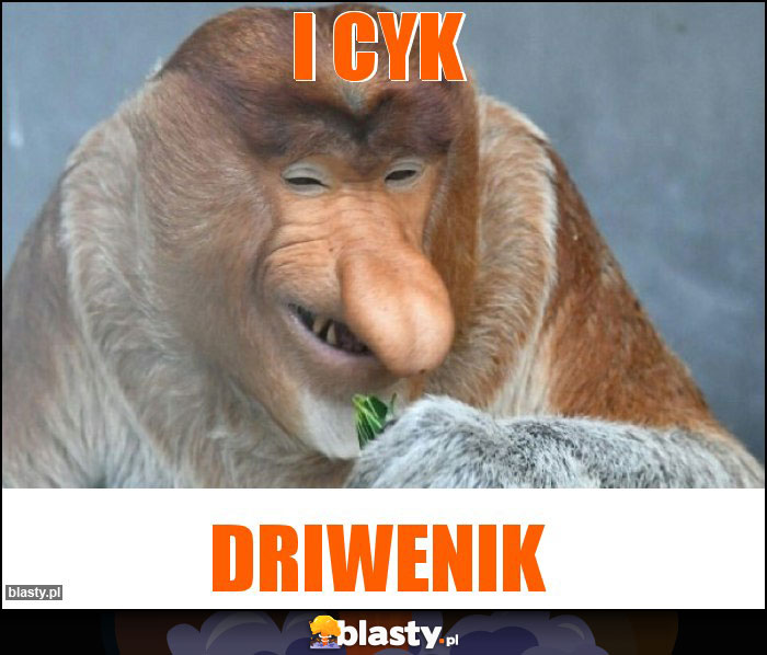 I cyk