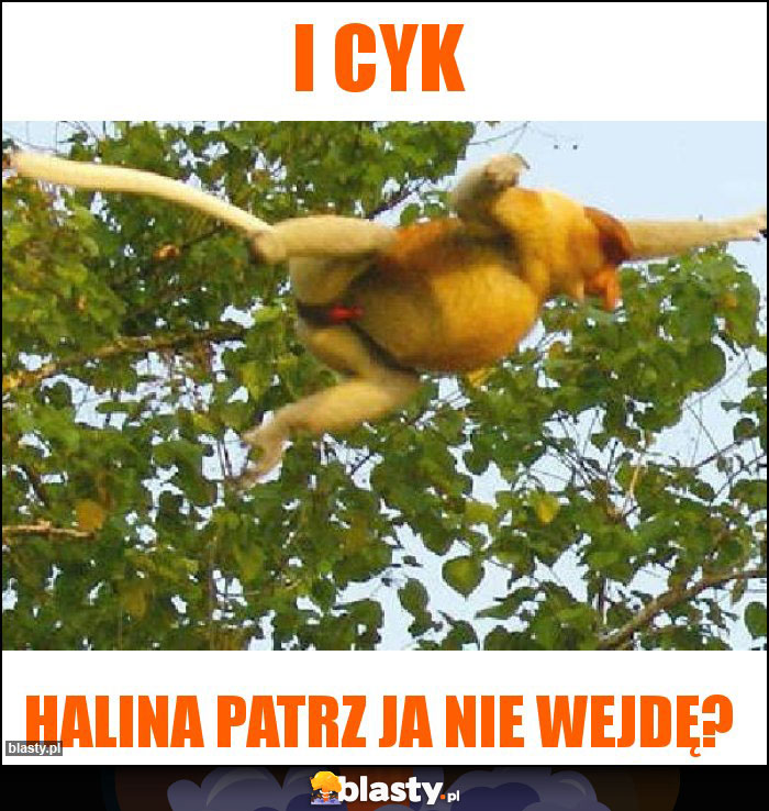 I cyk